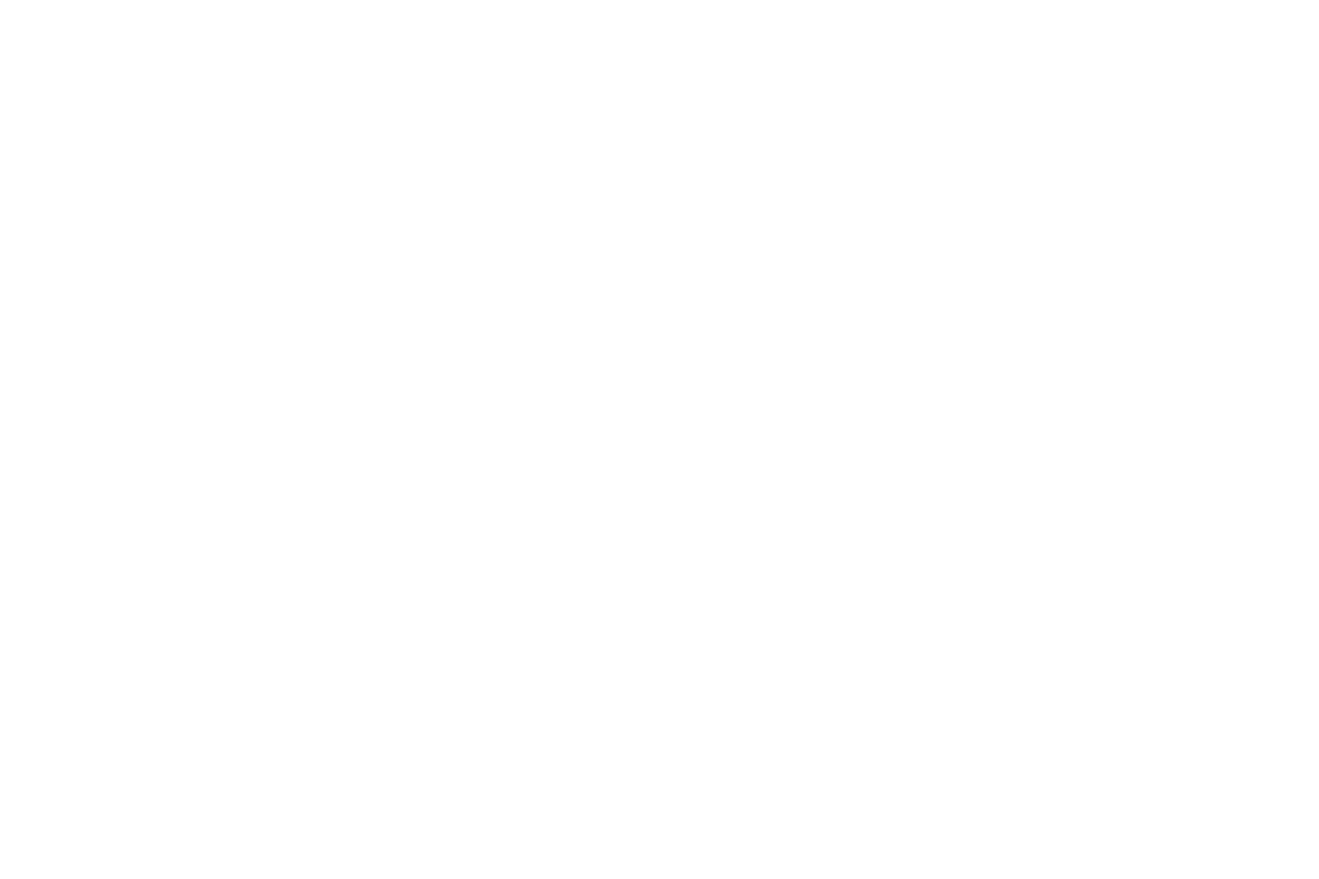 Logo Irungo Udala