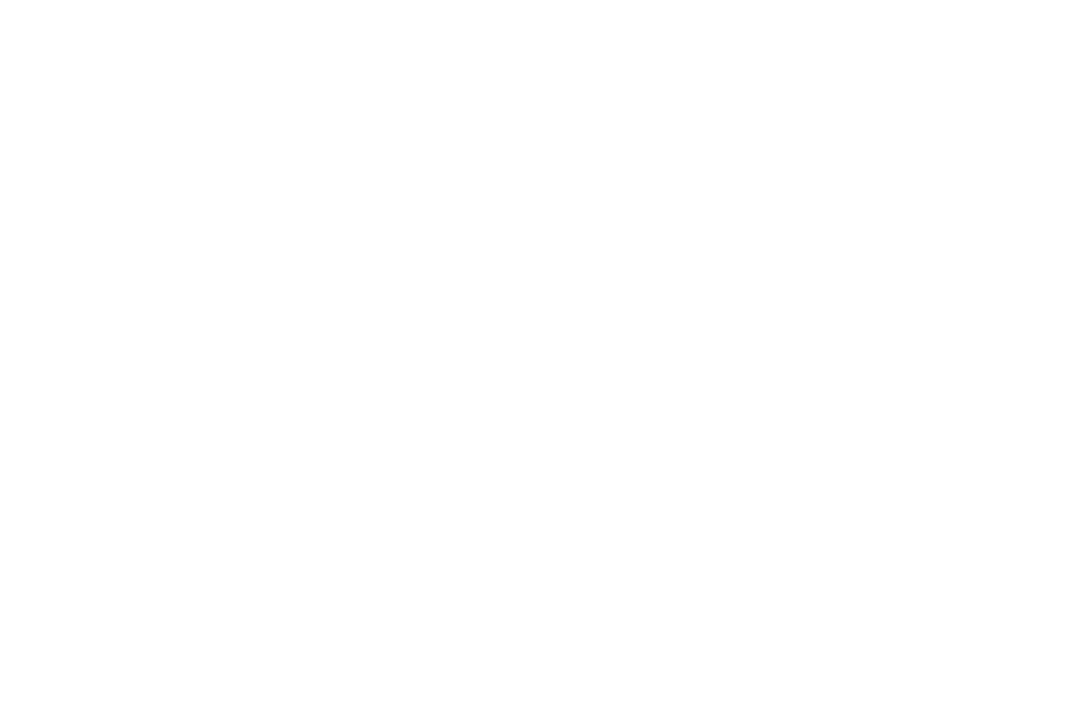 Logo Museo Oiasso